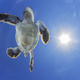 Image for article titled The most inspiring nature photography of the year